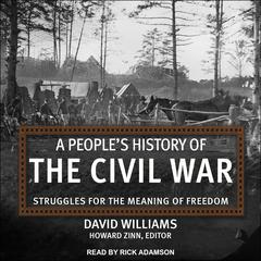 A People’s History of the Civil War by David Williams audiobook