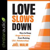 Love Slows Down by  Joel Malm audiobook