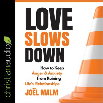 Love Slows Down by Joel Malm audiobook