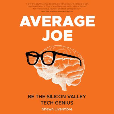 Average Joe by Shawn Livermore audiobook