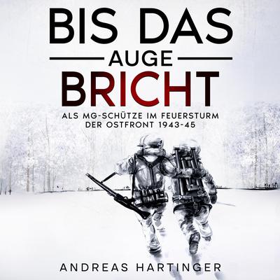 Bis das Auge bricht by Andreas Hartinger audiobook