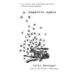 Negative Space by Lilly Dancyger audiobook
