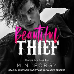 Beautiful Thief by M. N. Forgy audiobook