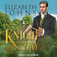 Knight and Day by Elizabeth Johns audiobook