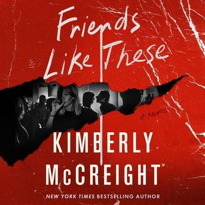 Friends Like These by Kimberly McCreight audiobook