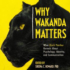 Why Wakanda Matters by Sheena C. Howard audiobook
