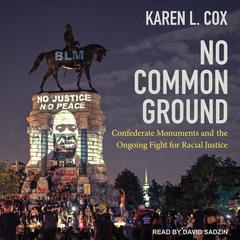 No Common Ground by Karen L. Cox audiobook