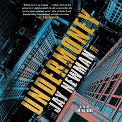 Undermoney by Jay Newman audiobook