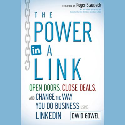 The Power in a Link by Dave Gowel audiobook