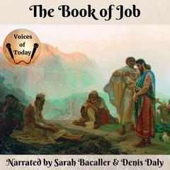 The Book of Job by Stephen Curkpatrick audiobook