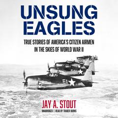 Unsung Eagles by Jay A. Stout audiobook