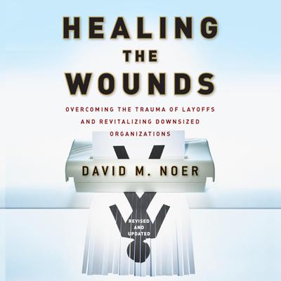 Healing the Wounds by David M. Noer audiobook