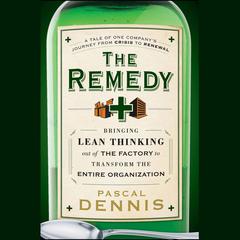 The Remedy by Pascal Dennis audiobook