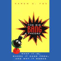 The Big Bang Theory by Karen C. Fox audiobook