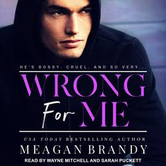 Wrong For Me by Meagan Brandy audiobook