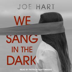 We Sang in the Dark by Joe Hart audiobook