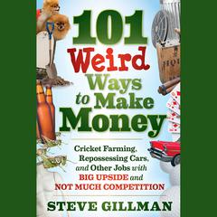 101 Weird Ways to Make Money by Steve Gillman audiobook