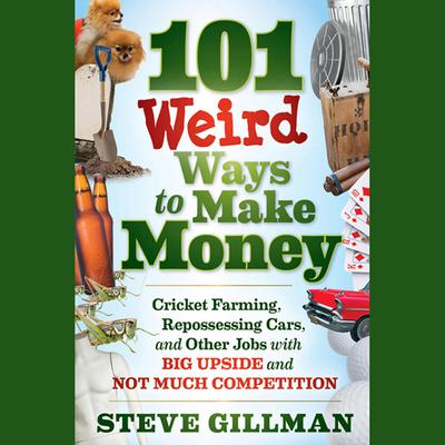 101 Weird Ways to Make Money by Steve Gillman audiobook
