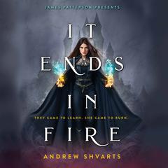 It Ends in Fire by Andrew Shvarts audiobook