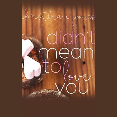 Didn't Mean to Love You by Christina C. Jones audiobook