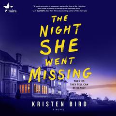 The Night She Went Missing by Kristen Bird audiobook