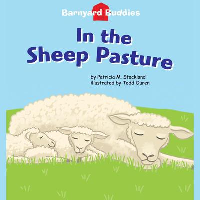 In the Sheep Pasture by Patricia M. Stockland audiobook