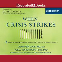 When Crisis Strikes by Jennifer Love audiobook