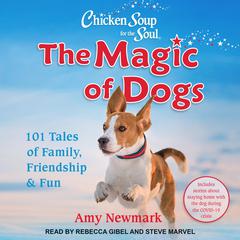 Chicken Soup for the Soul by Amy Newmark audiobook
