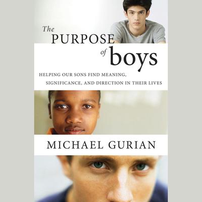 The Purpose of Boys by Michael Gurian audiobook