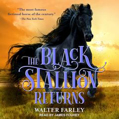 The Black Stallion Returns by Walter Farley audiobook