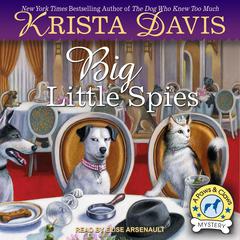 Big Little Spies by Krista Davis audiobook