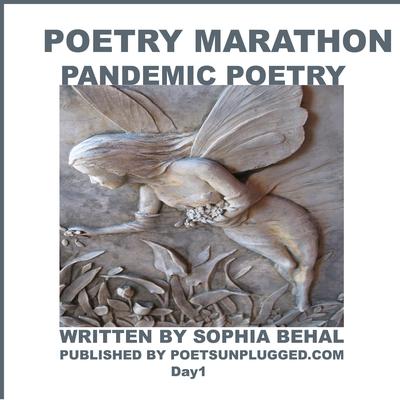 A Poetry Marathon by Sophia Behal audiobook