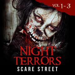 Night Terrors Volumes 1-3 by Scare Street audiobook