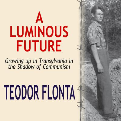 A Luminous Future by Teodor Flonta audiobook
