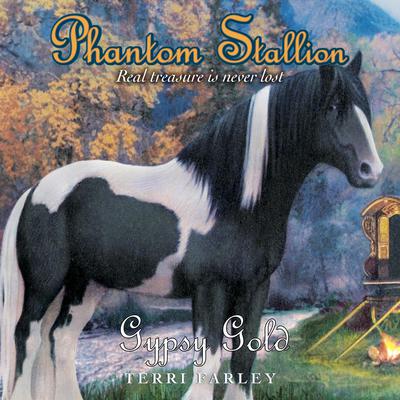 Phantom Stallion by Terri Farley audiobook