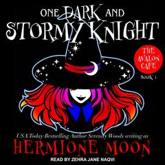 One Dark and Stormy Knight by Hermione Moon audiobook