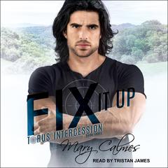 Fix It Up by Mary Calmes audiobook