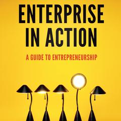 Enterprise in Action by Peter A. Lawrence audiobook