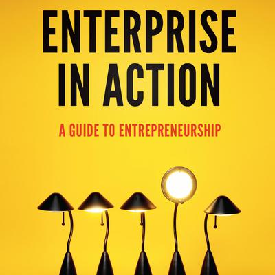 Enterprise in Action by Peter A. Lawrence audiobook