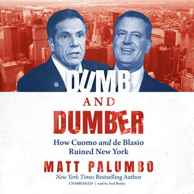 Dumb and Dumber by Matt Palumbo audiobook