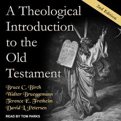 A Theological Introduction to the Old Testament by Walter Brueggemann audiobook