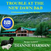 Trouble at the New Dawn B & B by  Dianne Harman audiobook
