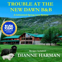 Trouble at the New Dawn B & B by Dianne Harman audiobook