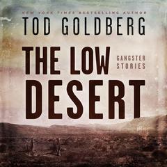 The Low Desert by Tod Goldberg audiobook