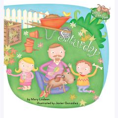 Saturday by Mary Lindeen audiobook