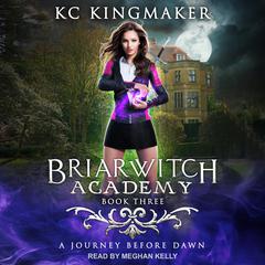 A Journey Before Dawn by KC Kingmaker audiobook