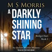 A Darkly Shining Star by  M S Morris audiobook