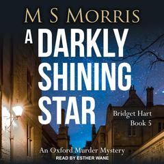 A Darkly Shining Star by M S Morris audiobook