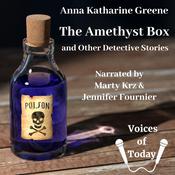 The Amethyst Box and Other Detective Stories by  Anna Katharine Green audiobook