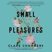 Small Pleasures by  Clare Chambers audiobook